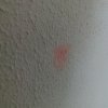 Bild von 