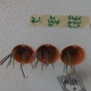 Bild von 