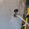 Bild von 