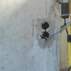 Bild von 