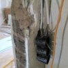 Bild von 