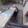 Bild von 