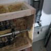 Bild von 