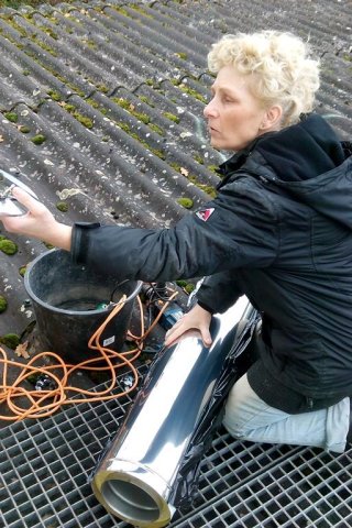 Bild von Heidi