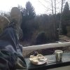 Bild von 