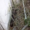 Bild von 
