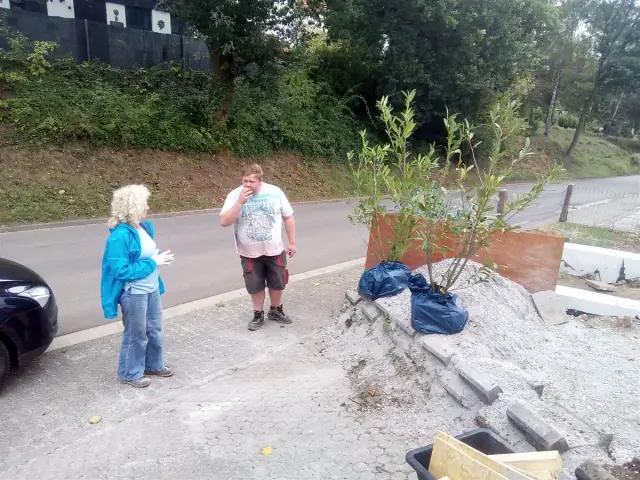 Bild von 