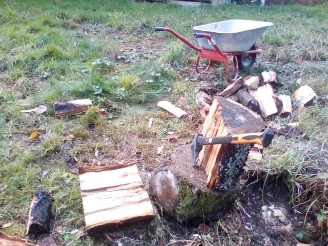 Bild von 