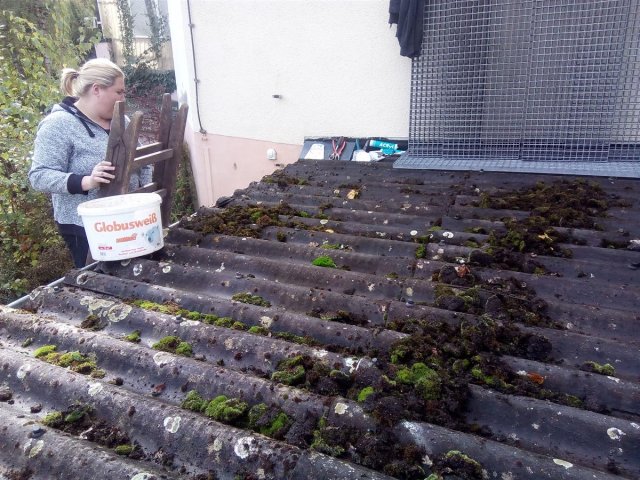 Bild von 