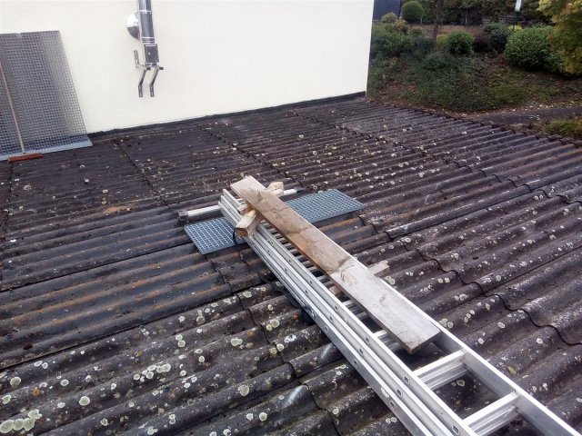 Bild von 
