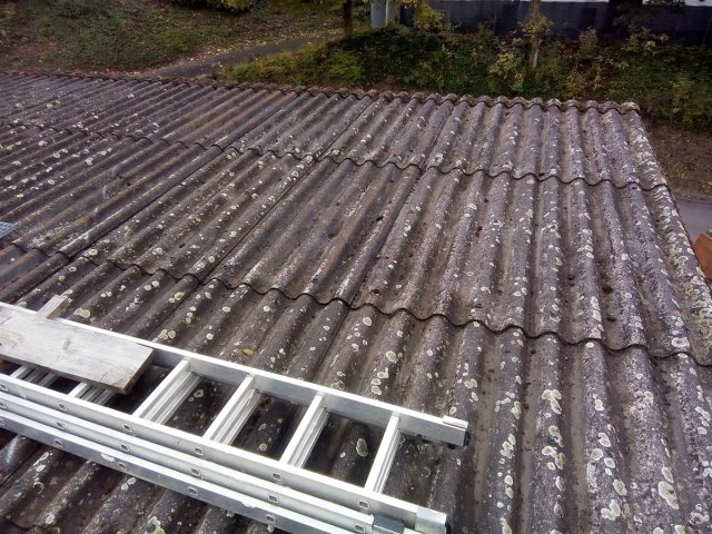 Bild von 