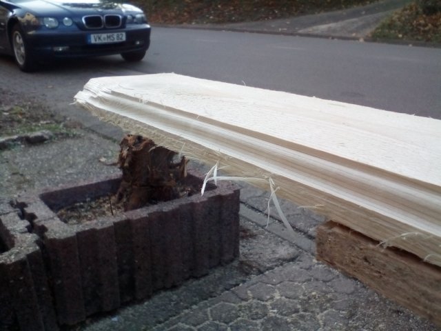 Bild von 