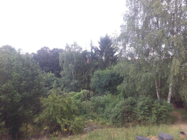 Bild von 