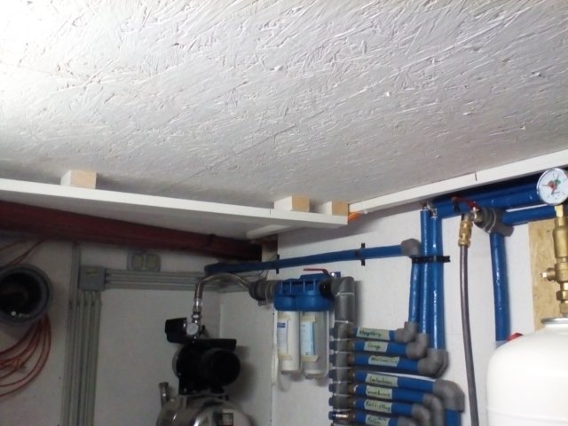 Bild von