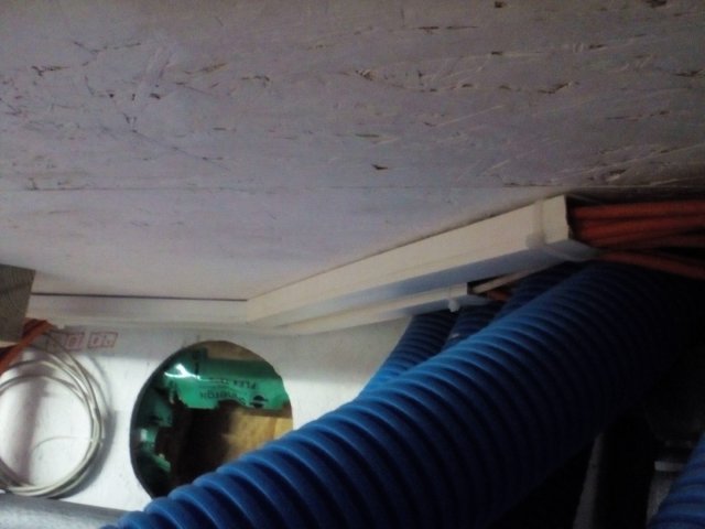Bild von