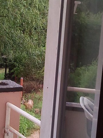 Bild von 