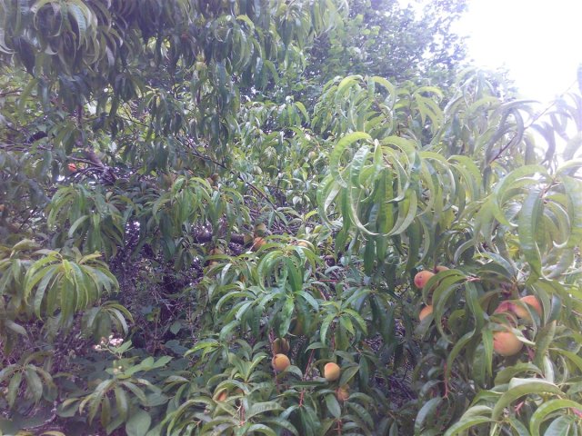 Bild von 