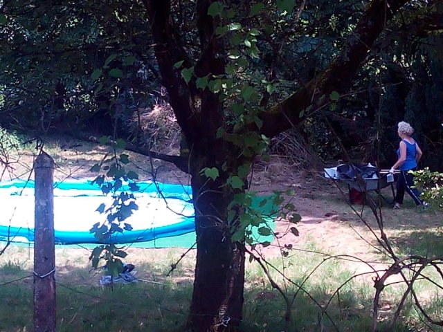Bild von 