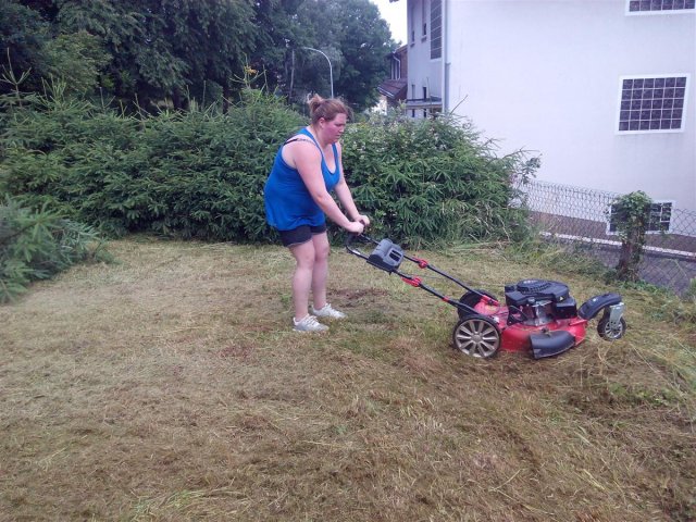 Bild von 