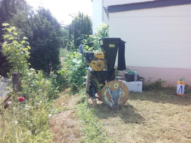 Bild von 