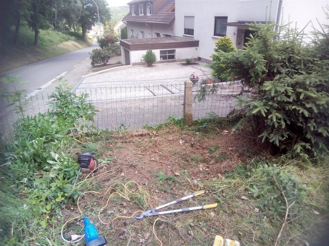 Bild von 