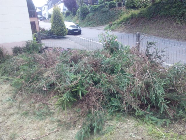 Bild von 