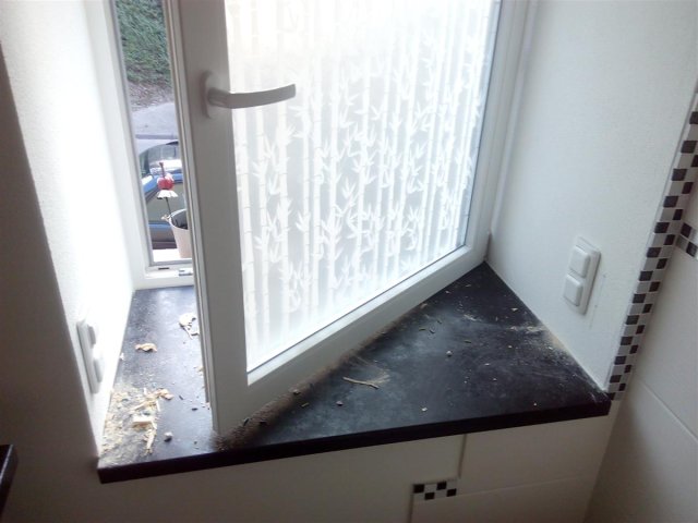 Bild von 
