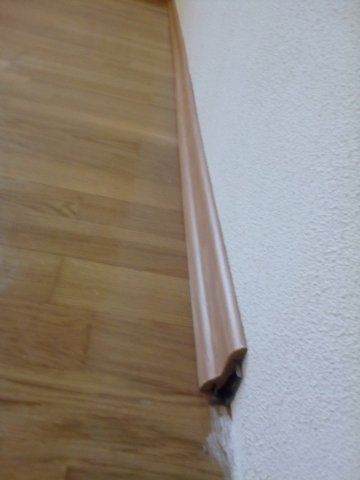 Bild von 