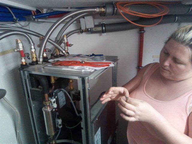 Bild von 