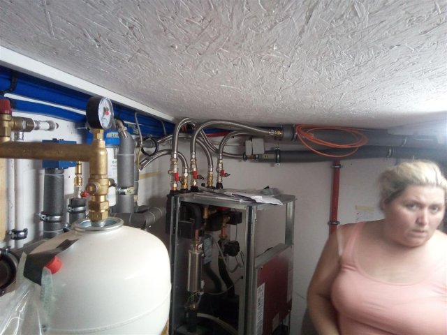 Bild von 