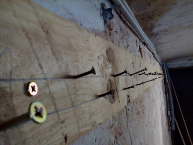 Bild von