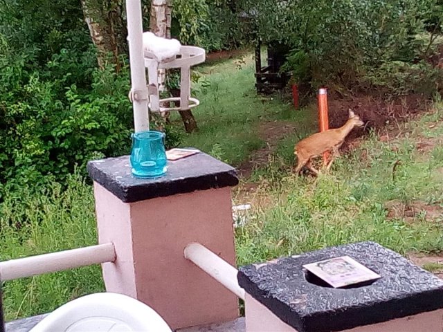Bild von 