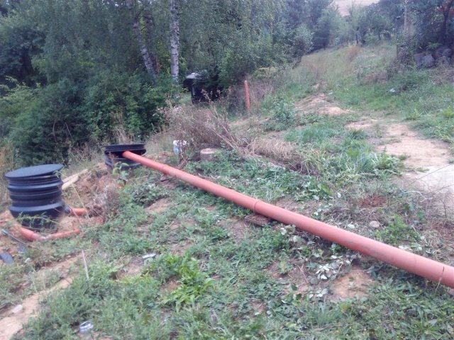 Bild von 