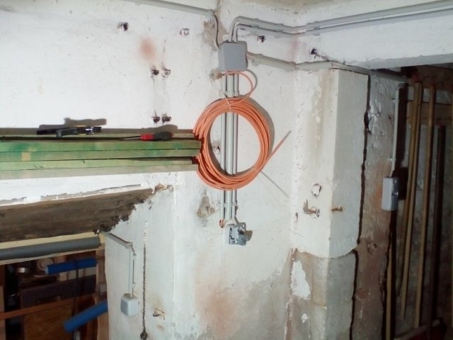 Bild von