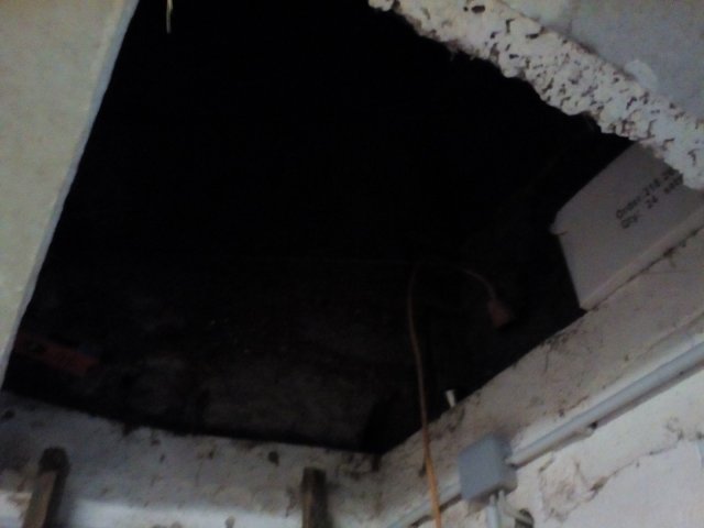 Bild von