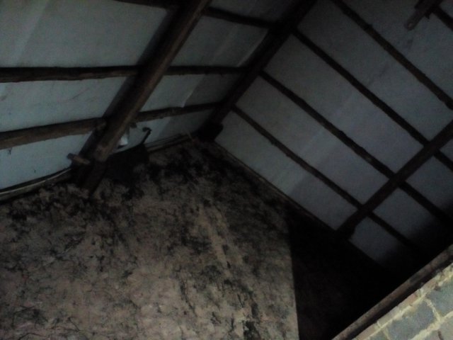 Bild von