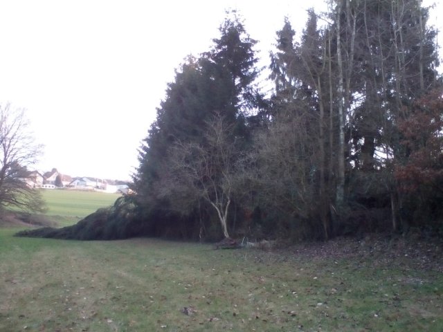 Bild von