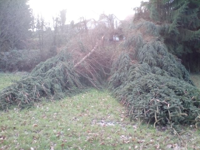 Bild von