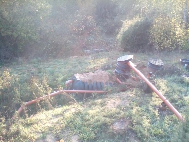 Bild von 