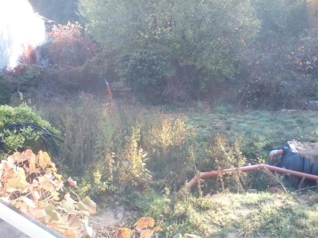 Bild von 