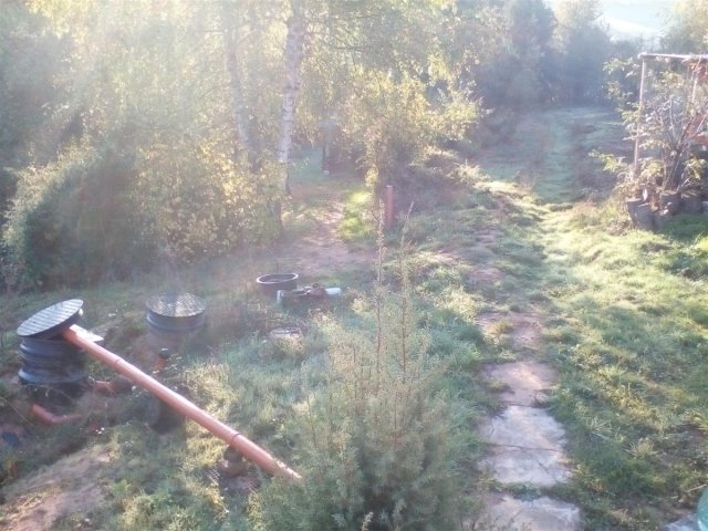 Bild von 