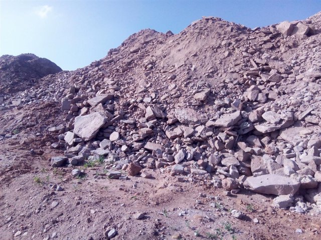 Bild von 