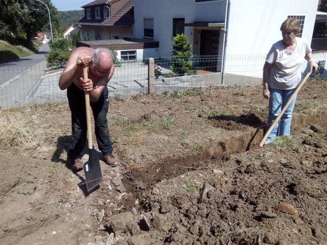 Bild von 