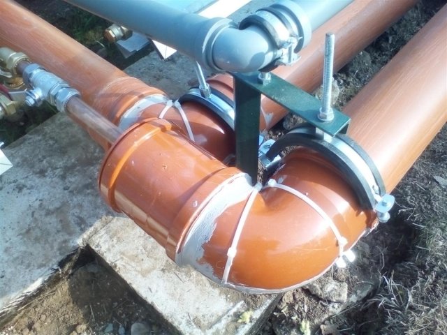 Bild von 
