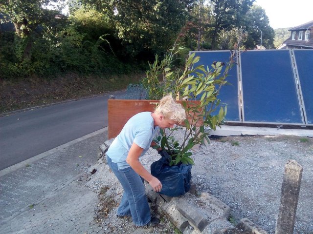 Bild von 