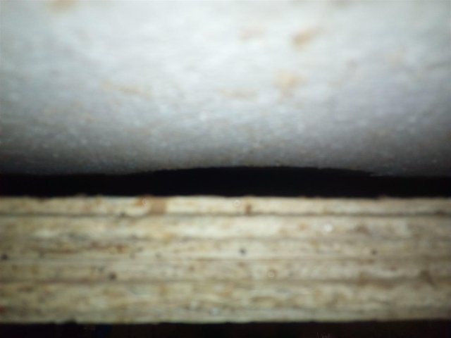 Bild von 