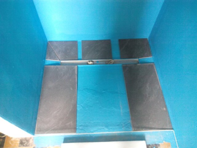 Bild von 