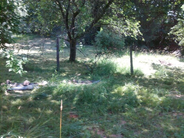Bild von 