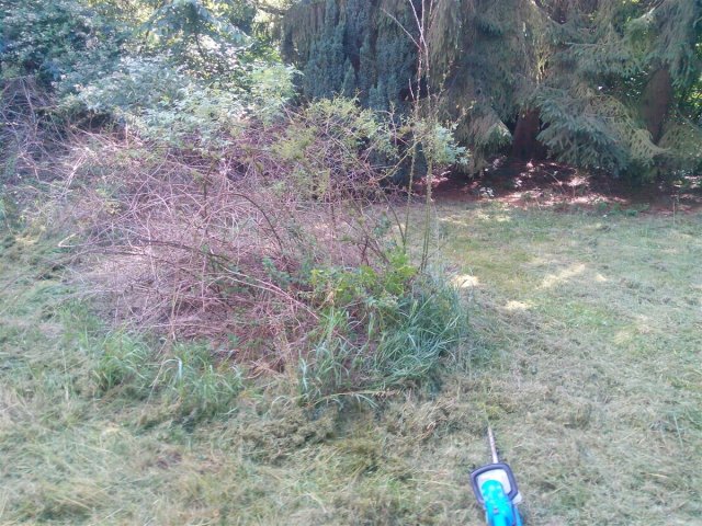 Bild von 