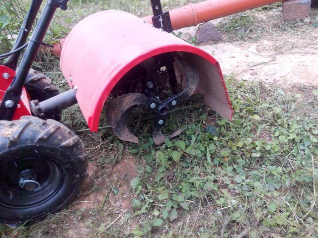 Bild von 